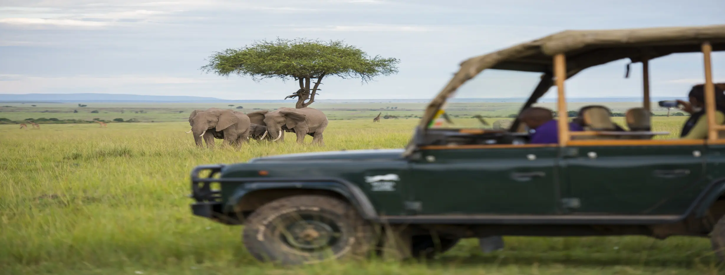 Image for Kandahar Cultural Safari